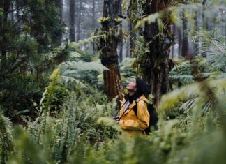 Превратите свой телефон в определитель природы с помощью ИИ-приложения iNaturalist