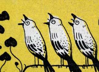 O poder inesperado de falar com estranhos