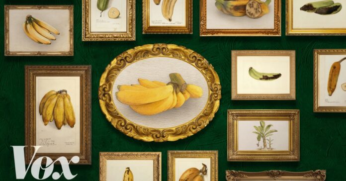 09e88b8d-0b0c-41b1-a0b7-5bbed13a5846