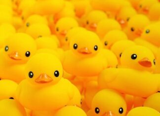 Le piège numérique de l’Europe : pourquoi la réglementation excessive condamne l’innovation technologique